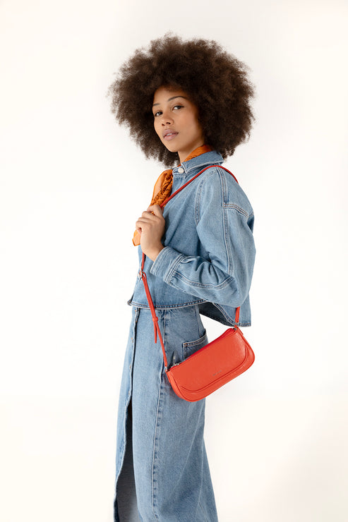 variant:: tomate -- buddy theme tomate