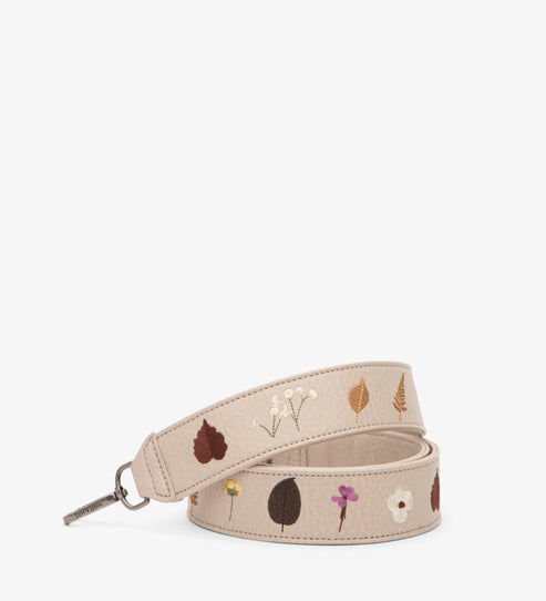 variant:: koala -- lisi dwell koala