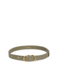 variant:: sauge -- paro belt sauge