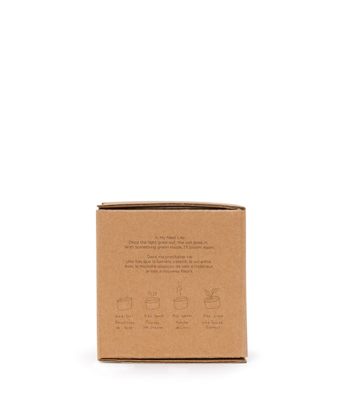 variant:: blanc -- life is sweet candle blanc