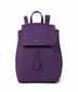 variant:: violet -- mumbai med purity violet