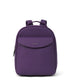 variant:: violet -- harlem purity violet