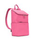 variant:: bouton de rose -- brave purity bouton de rose