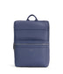 variant:: bleuet -- remi grain bleuet