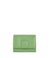 variant:: cameleon -- mellowsm forum cameleon