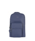 variant:: bleuet -- allar grain bleuet