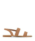 variant::erable -- tilie shoe erable