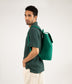 variant:: souci -- fabi arbor souci