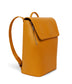 variant:: souci -- fabi arbor souci