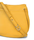 variant:: citrine -- salolg sol citrine