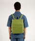 variant:: grenouille -- eve vintage grenouille